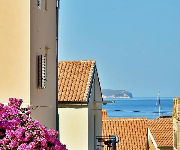 Palm Tree Appartement *