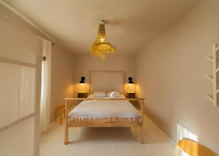 Palm Tree Appartement